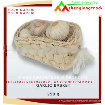 agora corp China Solo garlic price